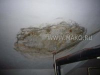 Реконструкция бассейна